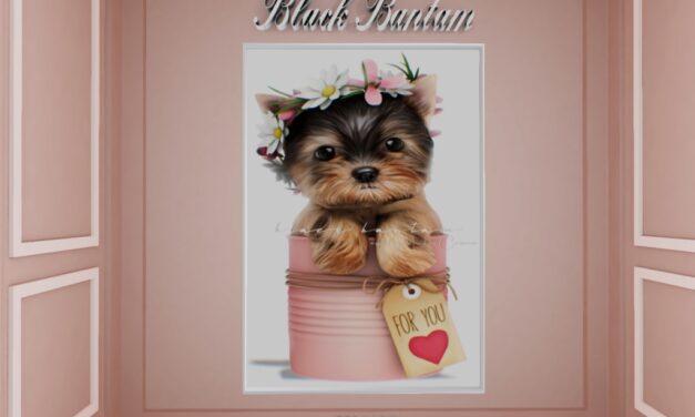 50% Off from Black Bantam Only at The Outlet