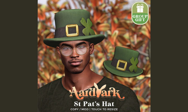 New Group Gift St. Pat’s Hat at Aardvark