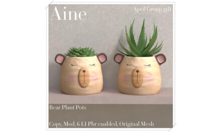 New Group Gift Bear Plant Pots at Aine