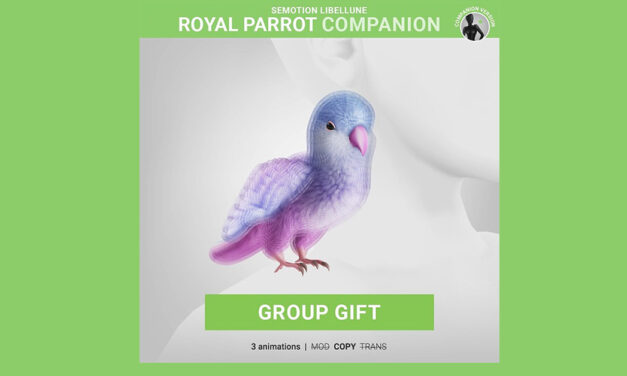 Limited Group Gift Royal Parrot at Semotion Libellune
