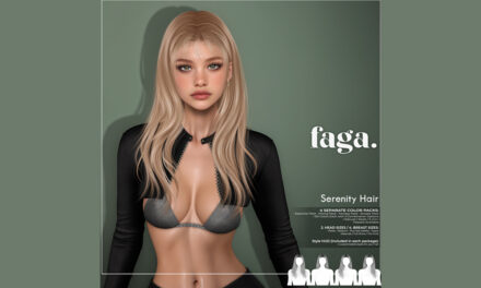 New VIP Group Gift Serenity at Faga
