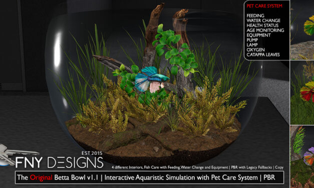 Updated – The Original Betta Bowl by FNY Designs