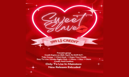 Group Gift 599L Store Credit at Sweet Slave