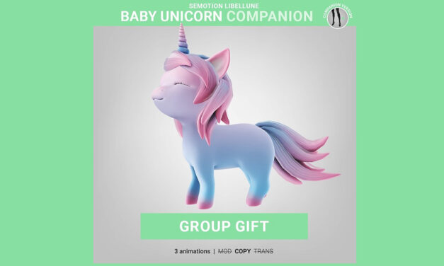 Baby Unicorn Group Gift at SEmotion Libellune