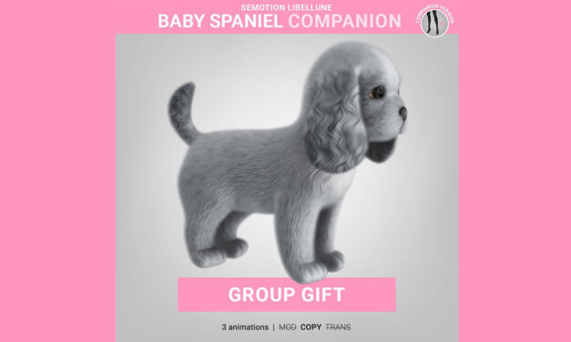 Baby Cocker Spaniel Group Gift at SEmotion Libellune