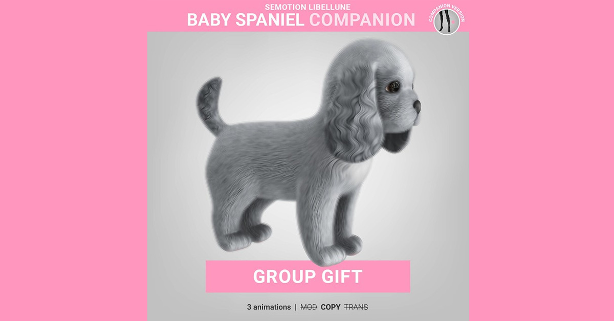 Baby Cocker Spaniel Group Gift at SEmotion Libellune