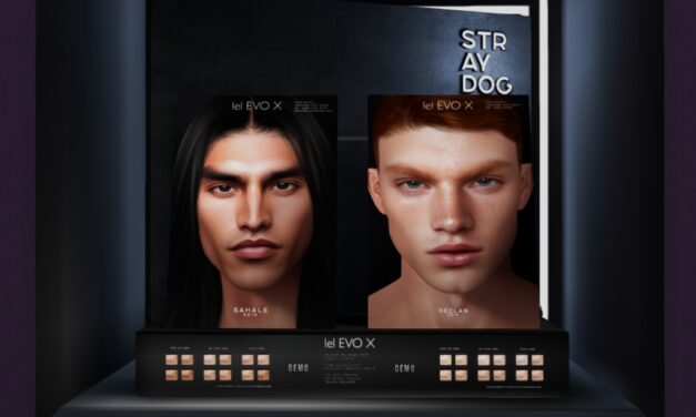 50% Off from Stray Dog Exclusively at The Outlet