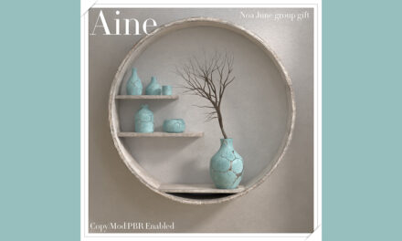 June Group Gift Noa at Aine
