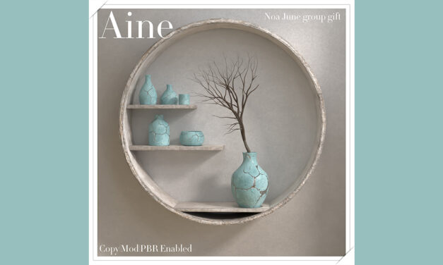 June Group Gift Noa at Aine