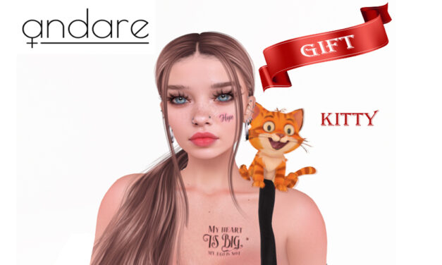 Group Gift Kitty at Andare
