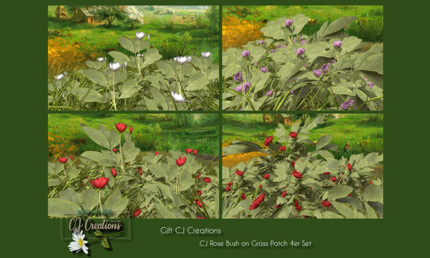 Group Gift Rose Bush on Grass Patch at CJ Creations