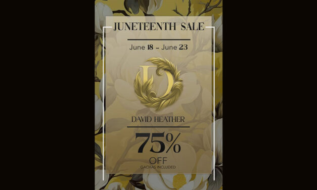 Juneteenth Sale 75% Off at David Heather