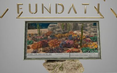 50% Off from Fundati Exclusively at The Outlet