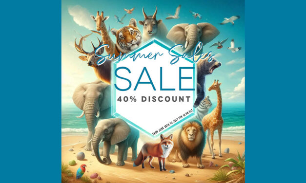 Summer Sale 40% Off at Rezz Room