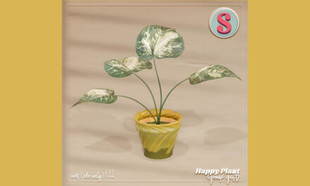 Sass 10 Year Anniversary Group Gift Happy Plant + 250L Store Credit