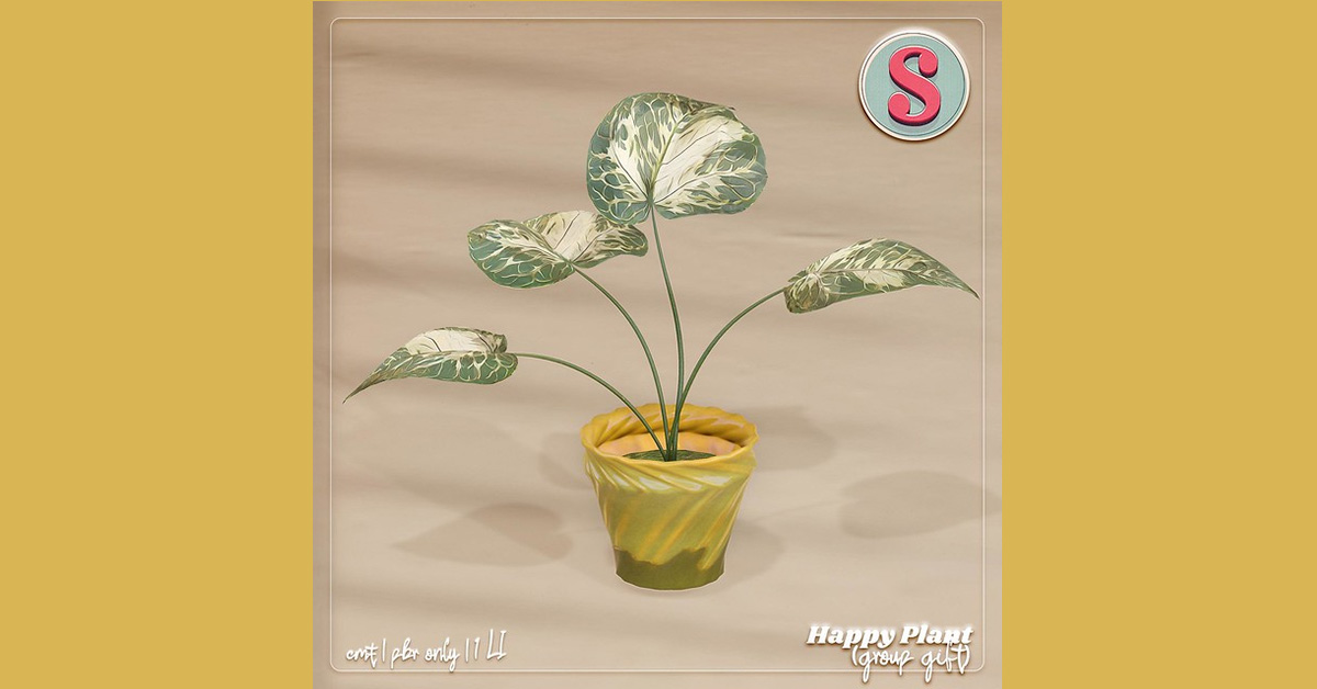 Sass 10 Year Anniversary Group Gift Happy Plant + 250L Store Credit