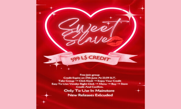 Group Gift 599L Store Credit at Sweet Slave