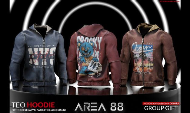 Anniversary Group Gift Teo Hoodie at Area 88