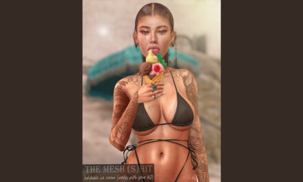 Group Gift Ice Cream at The Mesh (S)hit
