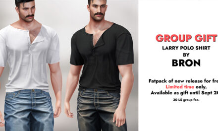 Group Gift Larry Polo Shirt at Bron