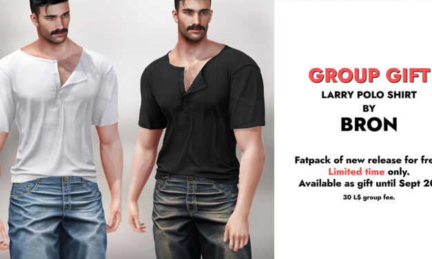 Group Gift Larry Polo Shirt at Bron