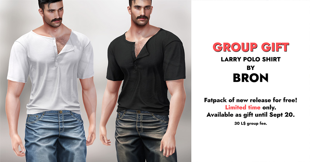 Group Gift Larry Polo Shirt at Bron