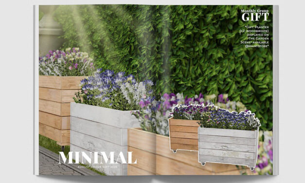 August Group Gift Planter at Minimal