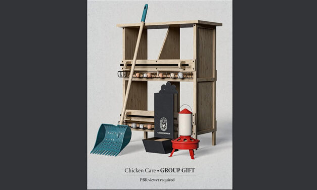 New Group Gift Chicken Care at Nutmeg