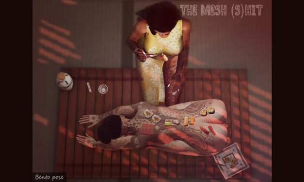 New Group Gift Sushi Love at The Mesh (S)hit