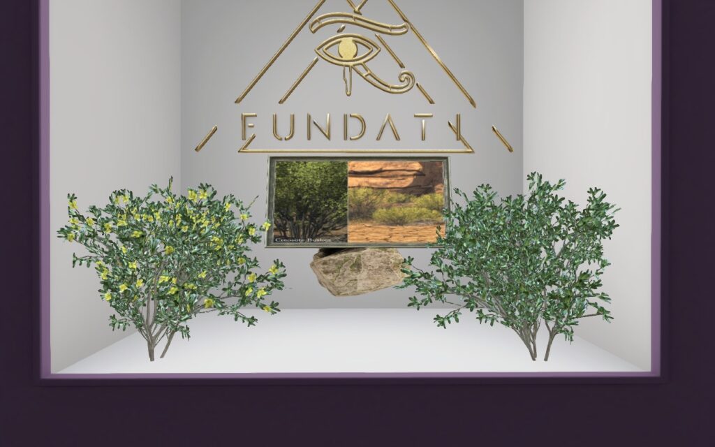 50% Off from Fundati Exclusively at The Outlet