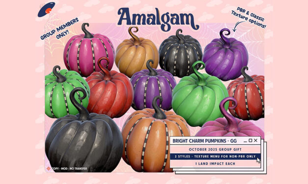 Group Gift Bright Charm Pumpkins at Amalgam