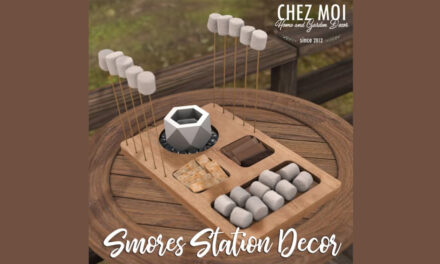 New Group Gift Smores Station Decor at Chez Moi