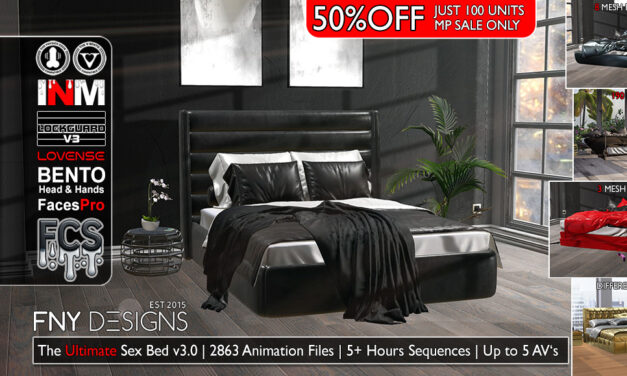 50% Off The Ultimate Sex Bed 3.0 – FNY Designs Marketplace Only