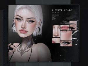 Le Punk