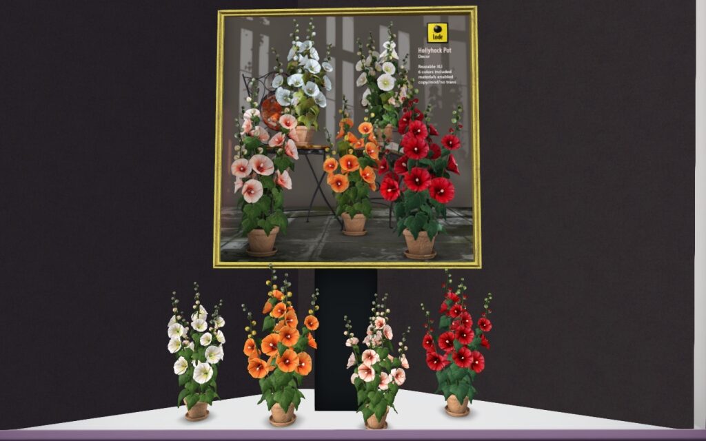 50% Off from Lode Exclusively at The Outlet