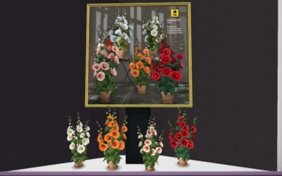 50% Off from Lode Exclusively at The Outlet