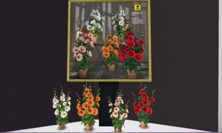 50% Off from Lode Exclusively at The Outlet