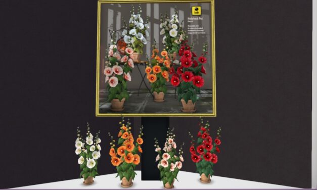 50% Off from Lode Exclusively at The Outlet