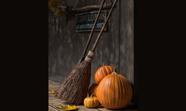 New Group Gift Witches Brooms and Pumpkins at Nutmeg
