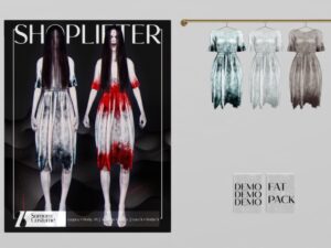 Shoplifter