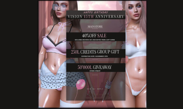 Vision 15th Anniversary 40% Off Sale!