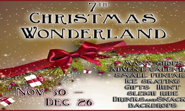 Festival Shopping At 7th Christmas Wonderland!