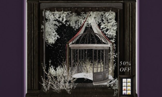 50% Off from Anc Ltd. Exclusively at The Outlet