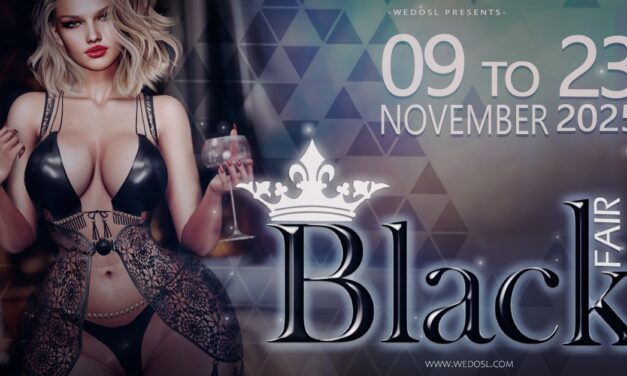 Shop Till You Drop @ Black Fair!