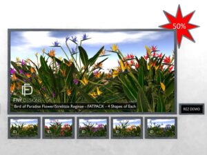 Bird of Paradise Flower