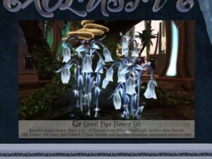 Cerridwen’s Cauldron