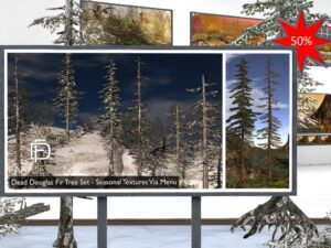 Dead Douglas Fir Tree