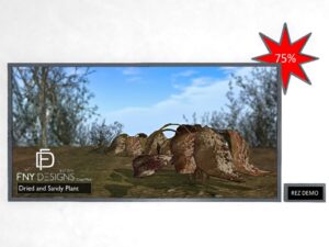 Dried and Sandy Plant