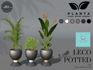 Planta