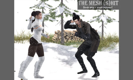 New Group Gift at The Mesh (S)hit